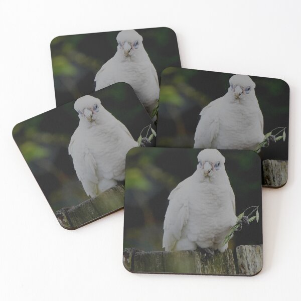 Item preview, Australia Northern Rivers birdlife designed and sold by criggit.