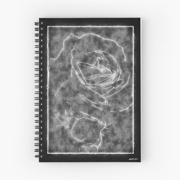 Item preview, Pink Roses in Anzures 2 Outlined Black designed and sold by TravelPhotoArt.