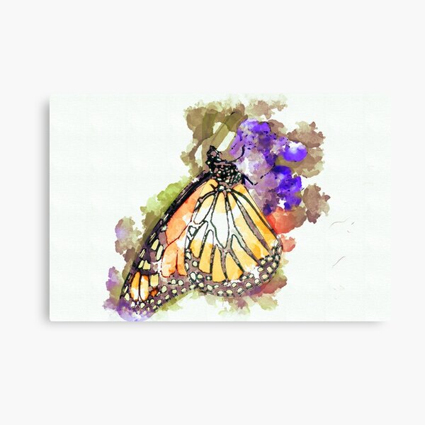 Impression de papillon monarque de peinture aquarelle -  Canada