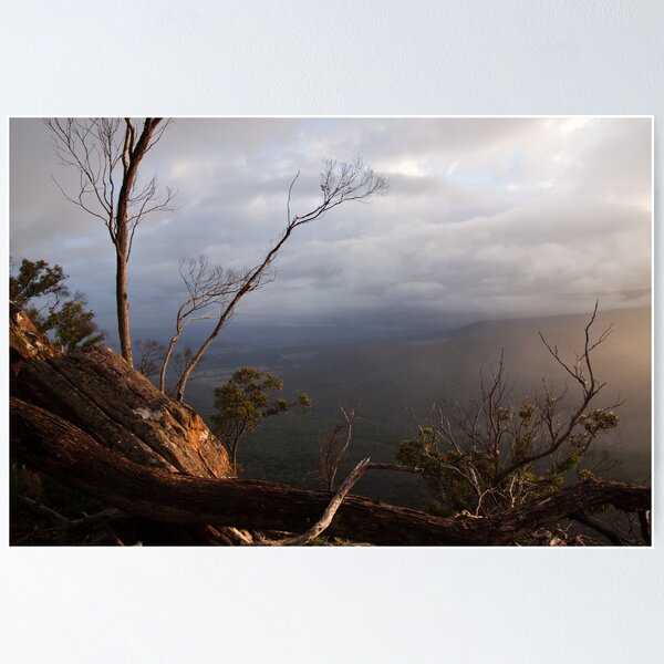 Item preview, First light on the Cathedrals designed and sold by Will Hore-Lacy.