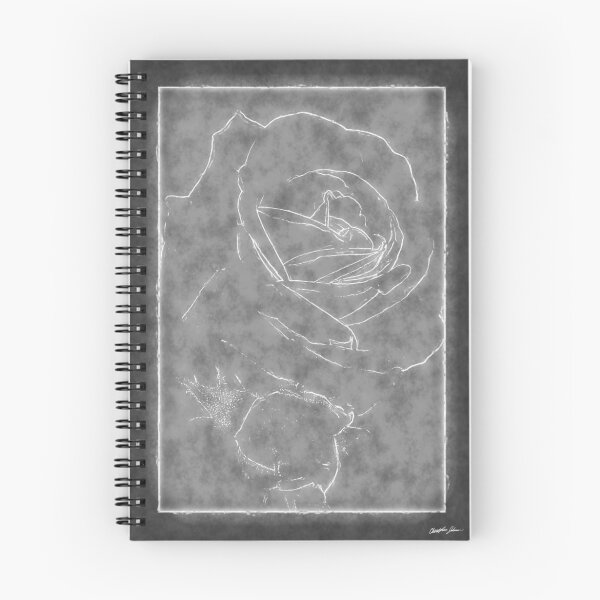 Item preview, Pink Roses in Anzures 2 Outlined Gray designed and sold by TravelPhotoArt.