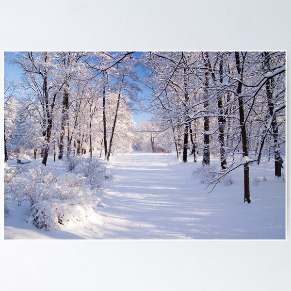 Item preview, Warsaw Winter Wonderland designed and sold by seawhisper.