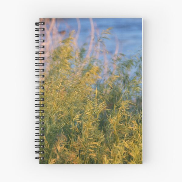 Item preview, Pastos NEBRASKA designed and sold by CaptureLight.