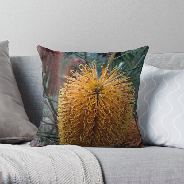 Banksia Flower first blush Throw Pillow