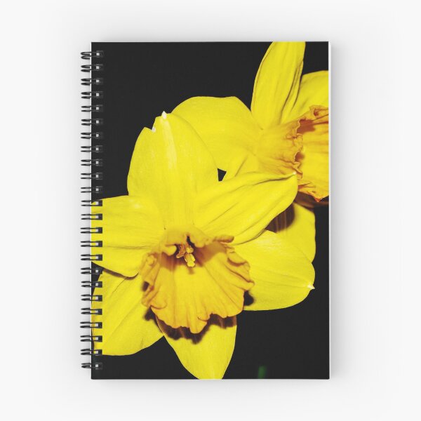 Item preview, Double Daffodil designed and sold by sangelrickard.