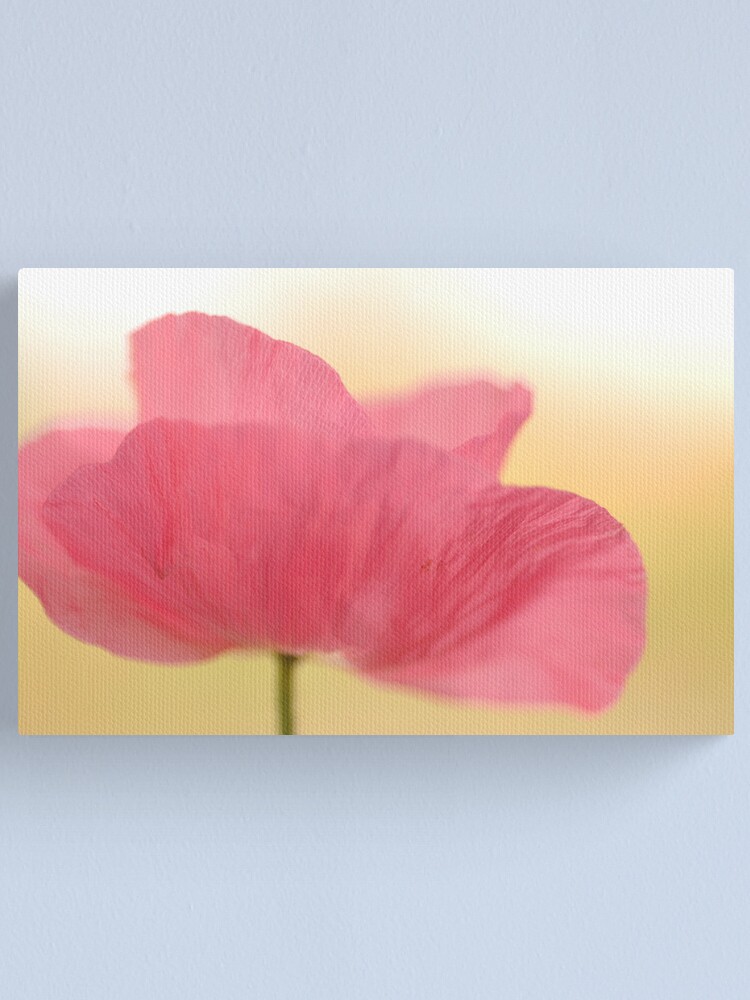 Alternate view of La Poppy Canvas Print