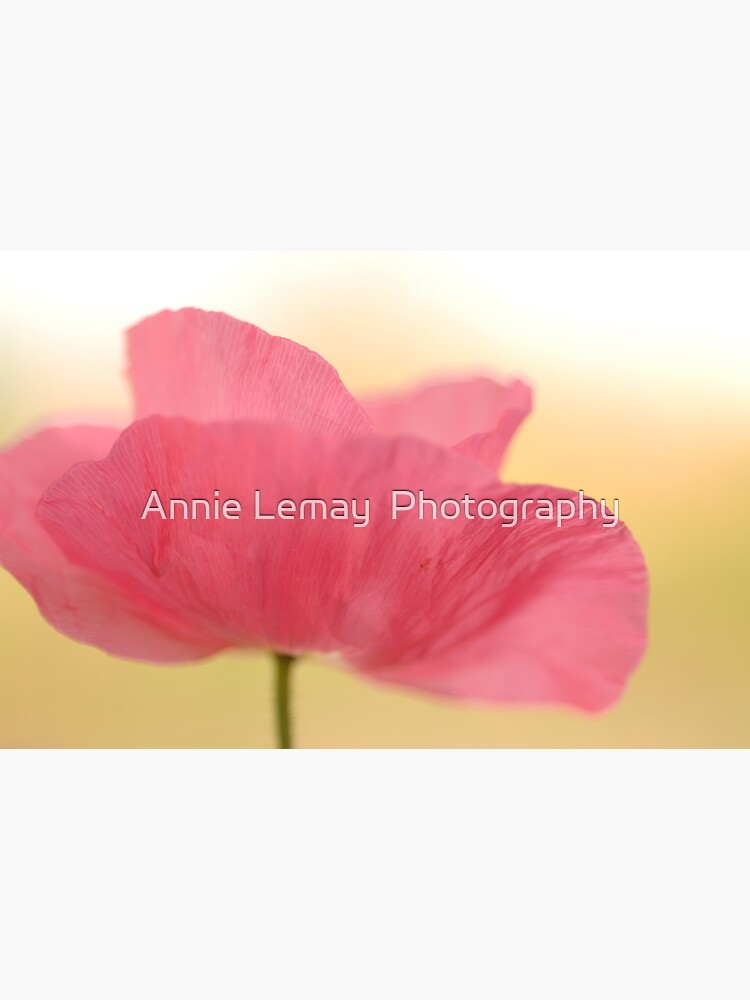 La Poppy by ajlphotography