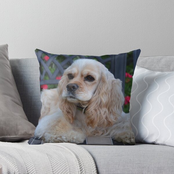Artikelvorschau, Cocker Spaniel Tollie entworfen und verkauft von Halobrianna.