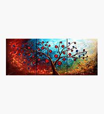 The Red & Blue Fruit Photographic Print