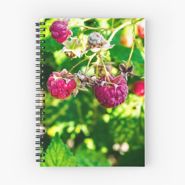 Item preview, Raspberries designed and sold by sangelrickard.