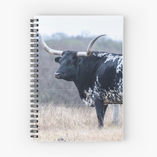 Item preview, Texas Longhorn designed and sold by AlizadaStudios.