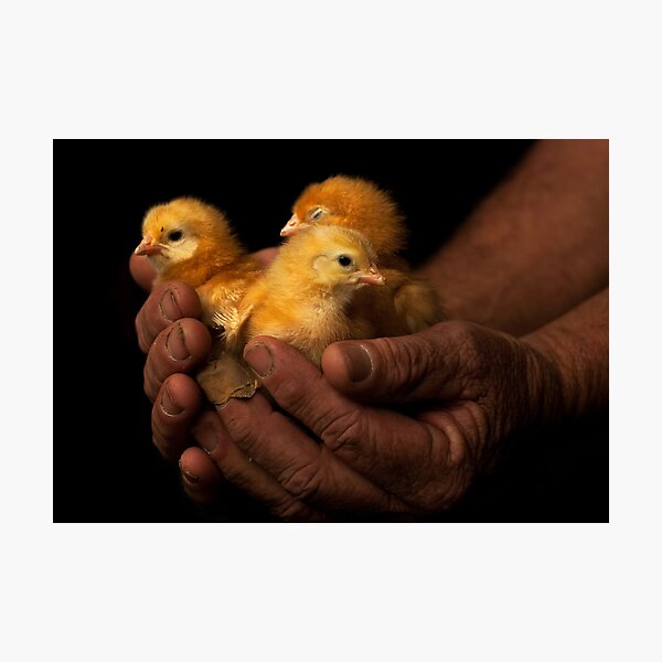 Tenderness Photographic Print