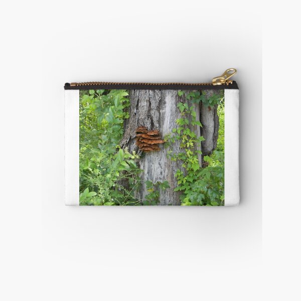 Item preview, Bracket Fungus or Shelf Fungus designed and sold by Navigator.