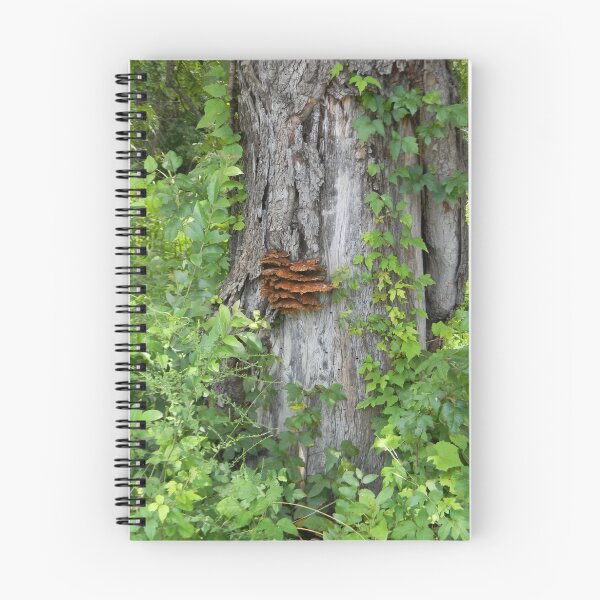Item preview, Bracket Fungus or Shelf Fungus designed and sold by Navigator.