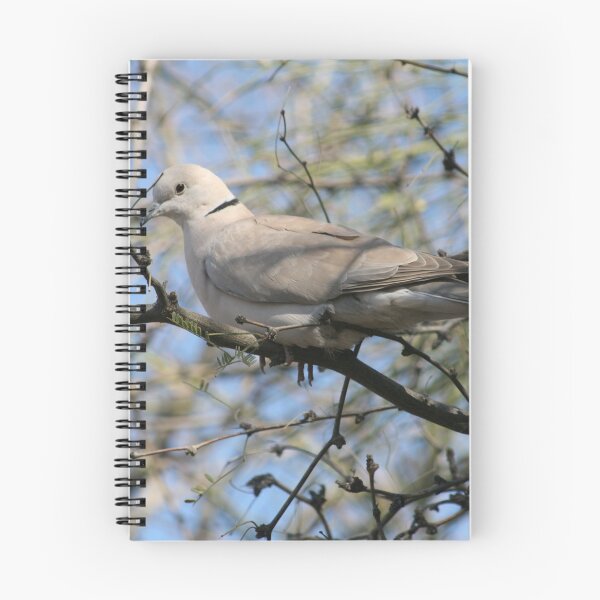 Item preview, Ring Necked Turtle Dove designed and sold by RichImage.