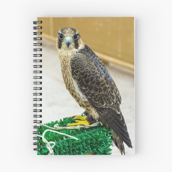 Item preview, Falcon in Doga, Qatar designed and sold by AlizadaStudios.