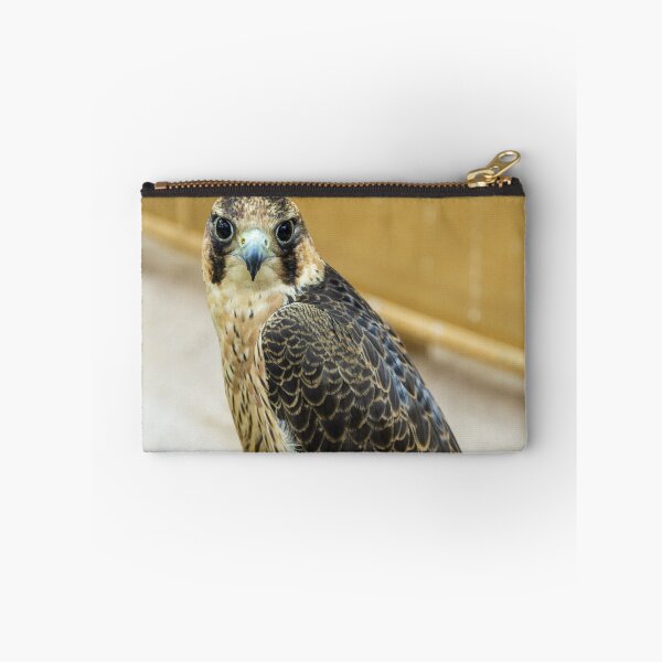 Item preview, Falcon in Doga, Qatar designed and sold by AlizadaStudios.