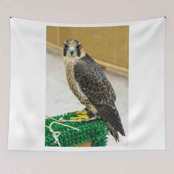 Item preview, Falcon in Doga, Qatar designed and sold by AlizadaStudios.