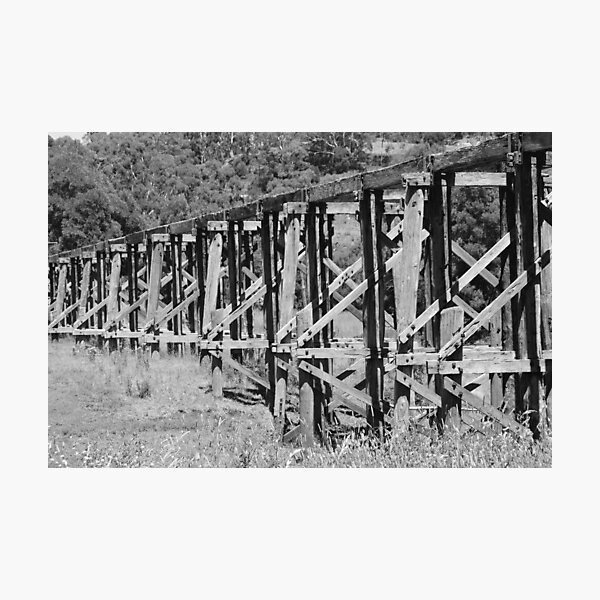 Item preview, Timboon Trestle bridge designed and sold by trishringe.