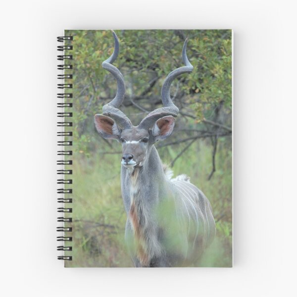 Item preview, Kudu  designed and sold by cs-cookie.