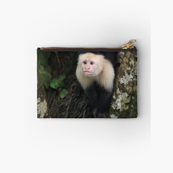 Item preview, Capuchin Monkey designed and sold by mlorenz.
