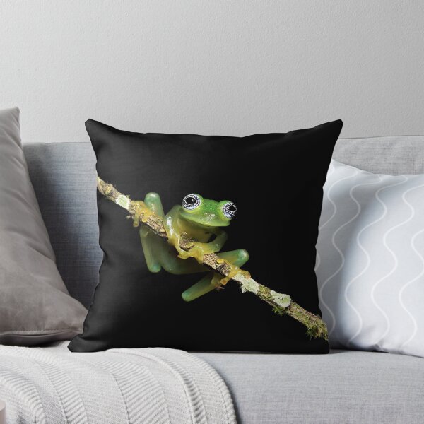 Item preview, Ghost Glass Frog designed and sold by mlorenz.