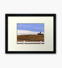 The Fly-By Framed Print