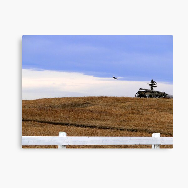 Item preview, The Fly-By designed and sold by ABPhotoArt.