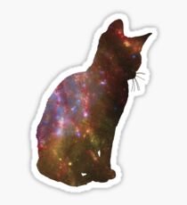 Kitten Space Sticker