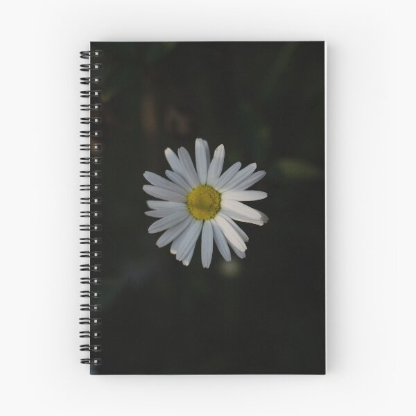 Aperçu de l'œuvre Floating daisy créée et vendue par darkwolf666.