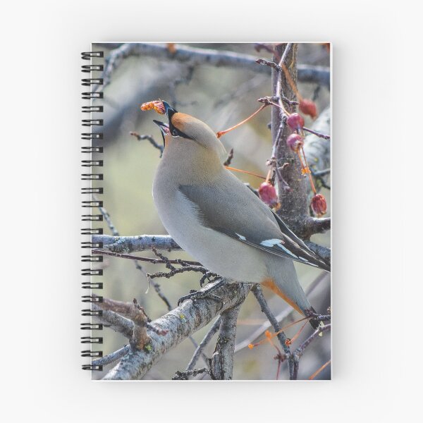Item preview, Bohemian Waxwing. designed and sold by CanadianWild418.