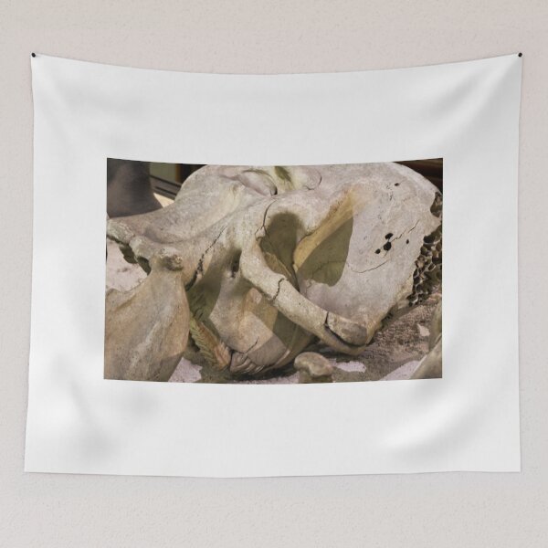 Item preview, Dinosour designed and sold by BritishYank.