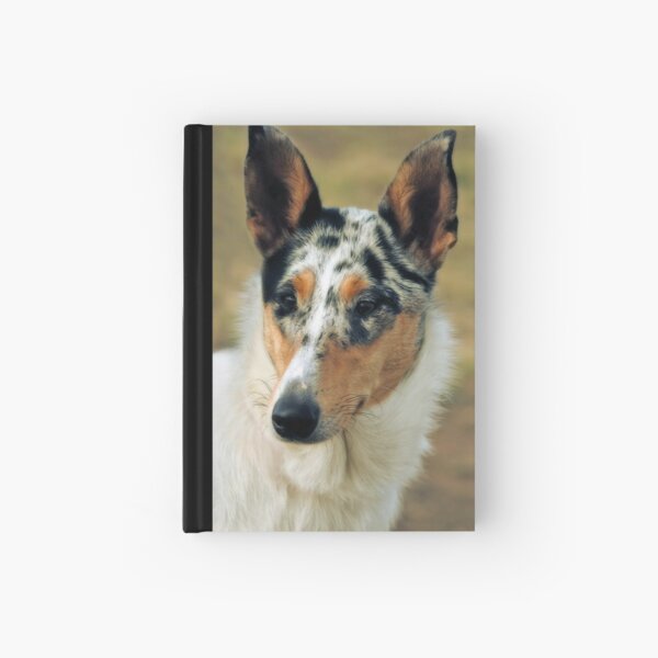 Collie (Smooth) Hardcover Journal