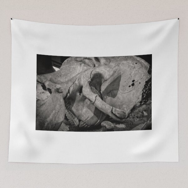 Item preview, Palaeomastodon designed and sold by BritishYank.