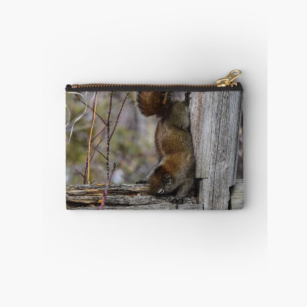 Item preview, Red Squirrel. designed and sold by CanadianWild418.