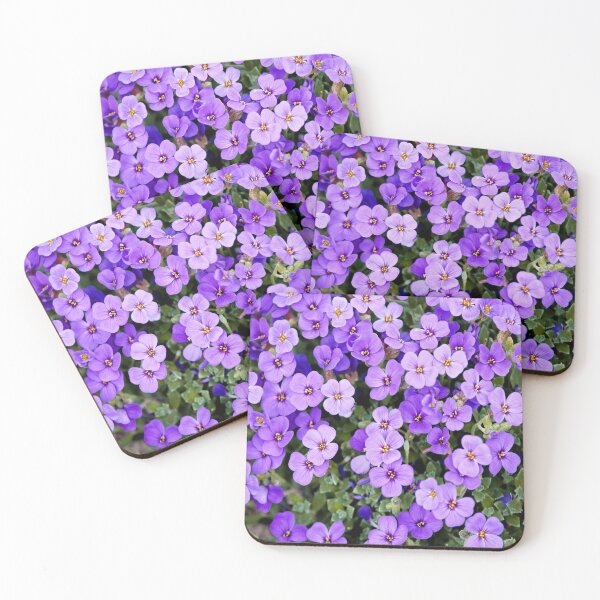 Artikelvorschau, Veilchen oder Aubrieta deltoidea. entworfen und verkauft von Frankie Cat Photography.