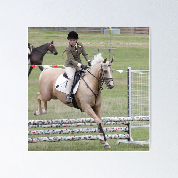 Aperçu de l'œuvre Moss Vale District Showjumper 3 créée et vendue par Samantha Bailey.