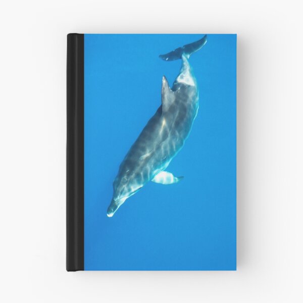 Item preview, Bottlenose Dolphin designed and sold by Simon Fallon.