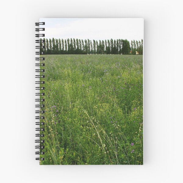 Item preview, Monet's Meadow. Campogalliano, Italy 2011 designed and sold by Igor Pozdnyakov.