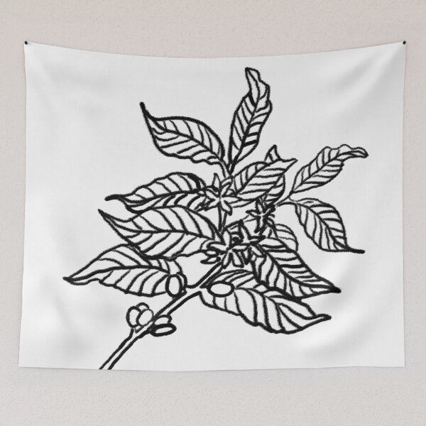 Item preview, Coffea Arabica - Coffee Plant Sketch - Charcoal designed and sold by beesbuzz.