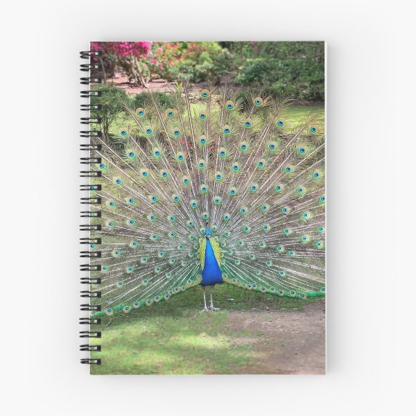 Item preview, Peacock on display designed and sold by TonyCrehan.