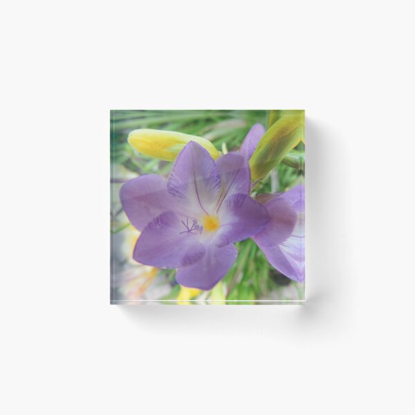 Item preview, Delicate Freesia designed and sold by Marilyn Harris.