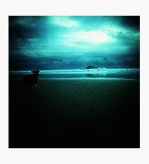 Maori Bay, New Zealand Photographic Print