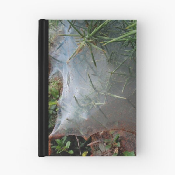 Item preview, Funnel Web designed and sold by imageworld.