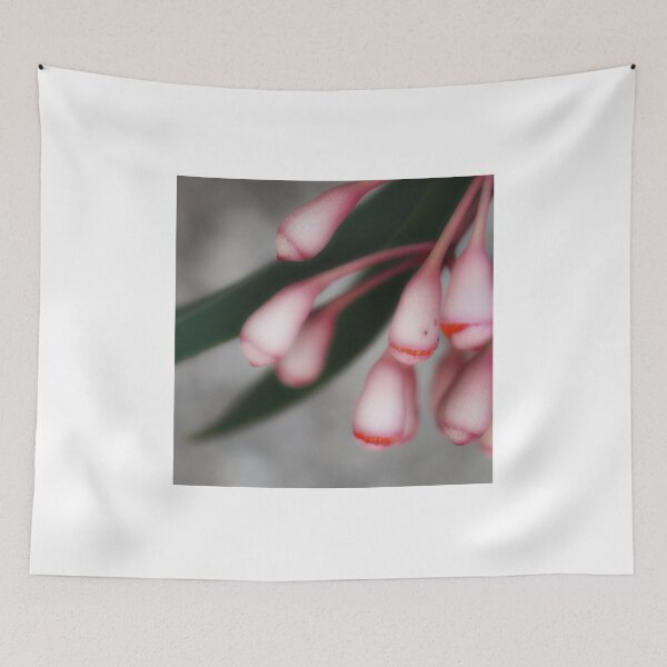 Item preview, flowering gum buds designed and sold by Nick Wellman.