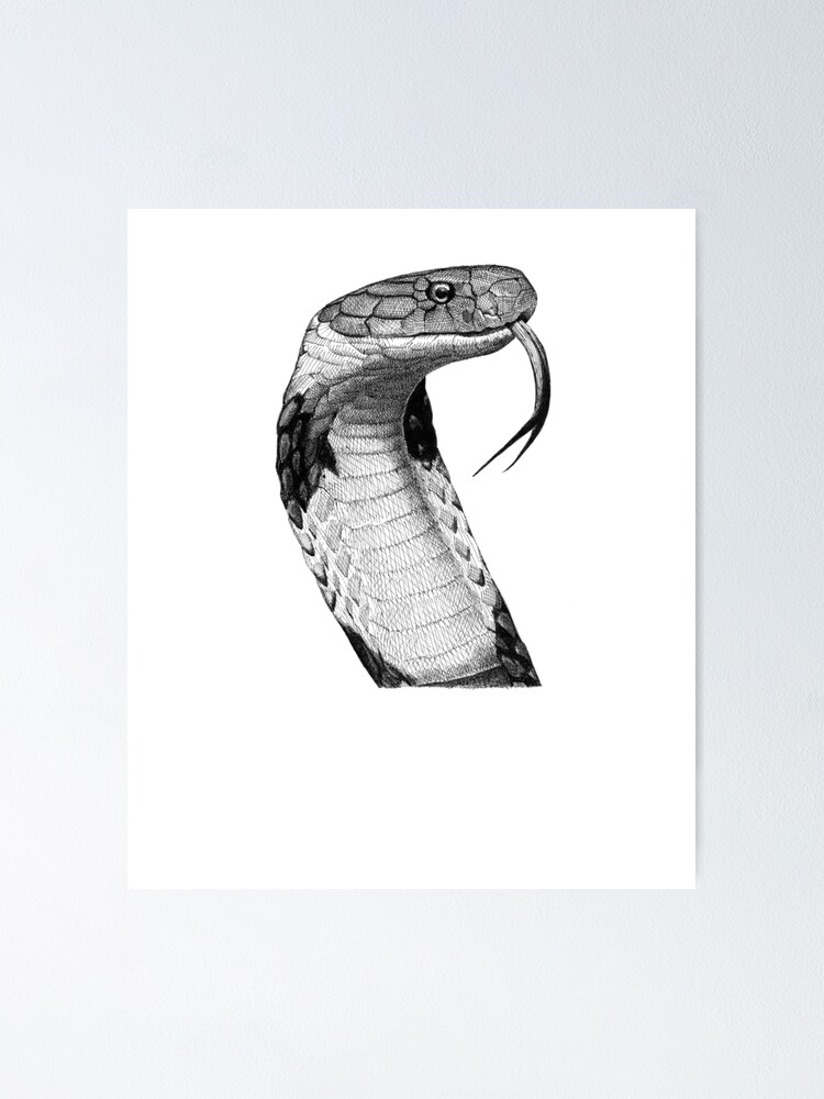 Funny Cobra Design For Men Women Kids King Snake Cobra Lover Zip Hoodie