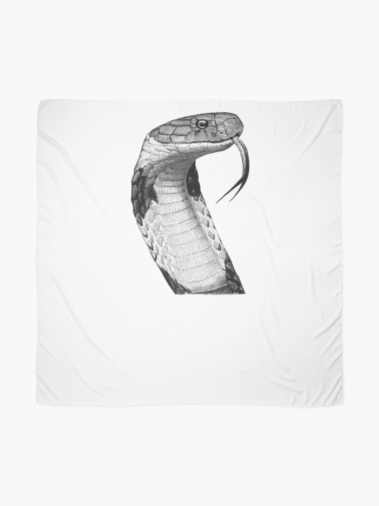 King Cobra Snake by DCZ-Samurai-Raven95 on DeviantArt