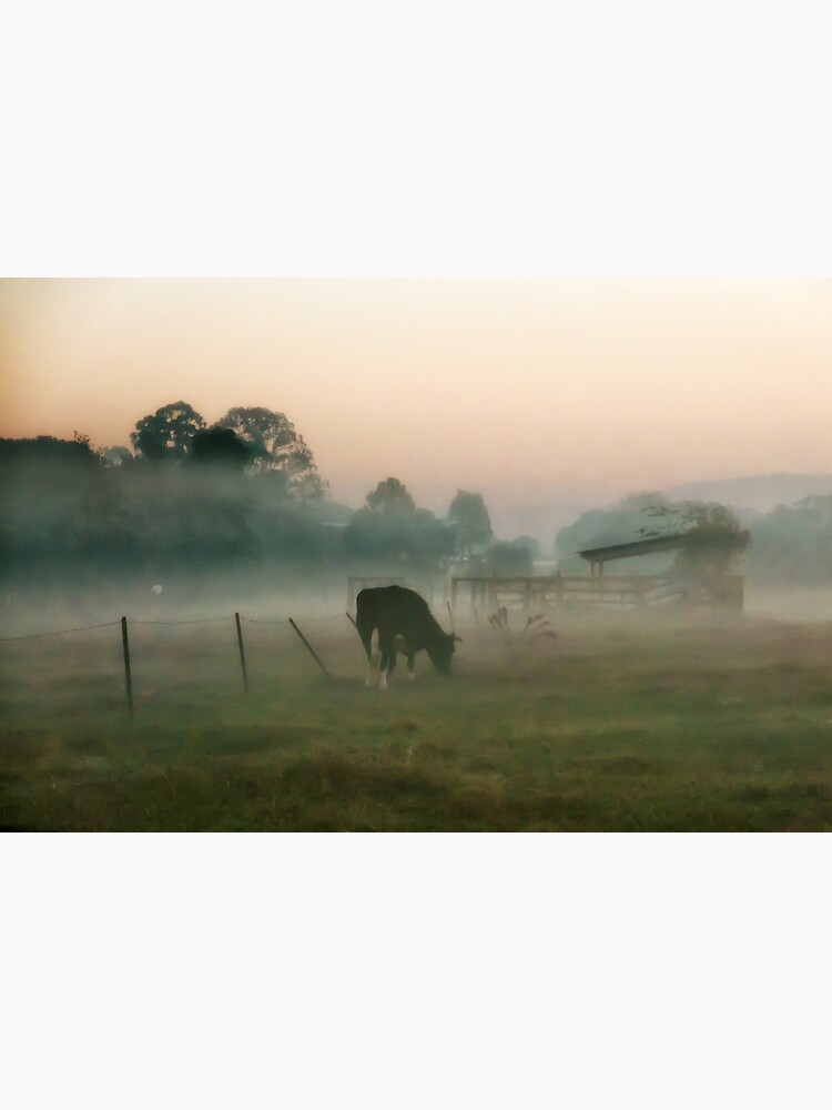 Foggy morning at the farm by fardad