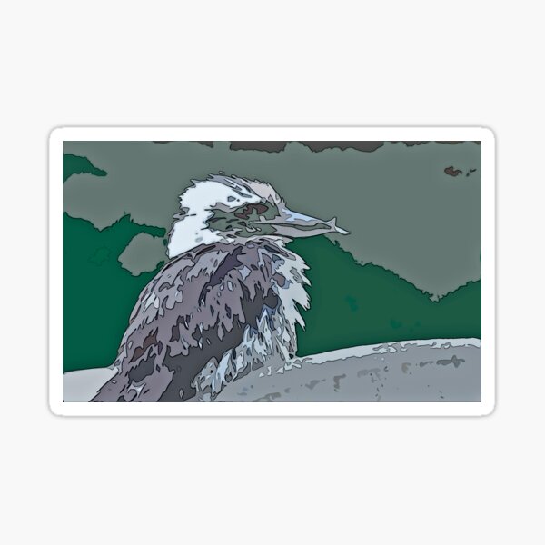 Kookaburra primping Sticker
