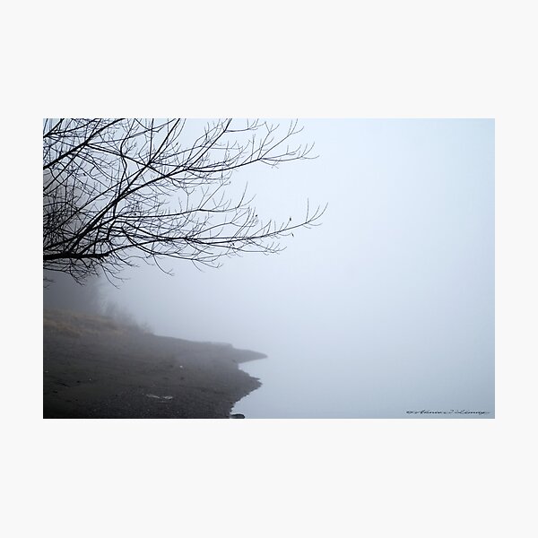 ZEN Photographic Print
